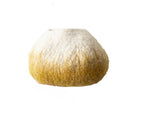 Ghana Basket Ukhumba Bowl - Eclipse Mustard