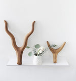 Kudu Head  Animal Head Wall Decor| Handmade Farmhouse Decor - Natural