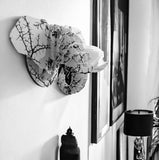 Mini Elephant with Camel Thorn print