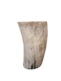 ANKOLE COW HORN VASE OR PLANTER  - LIGHT