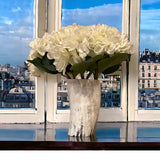ANKOLE COW HORN VASE OR PLANTER  - LIGHT
