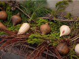 Traditional Carved Wooden Christmas Ornaments Decorations or Festive Décor -Natural