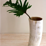 ANKOLE COW HORN VASE OR PLANTER  - LIGHT