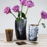 Soma  Cown Horn Tumblers - Set of 2