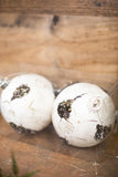 120MM / 12CM VP BIRCH BALL ORNAMENT BOX OF 2 (BIRCH)