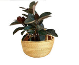 Medium African Bolga Ghana Market Basket| Dye Free 11"-13" Across