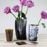 ANKOLE HORN VASES OR PLANTERS - DARK