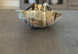 Kanyana Curved Horn Decorative Bowl -Light