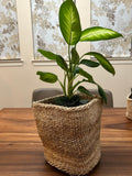 Kiondo Floor Sisal Storage Basket | Melange Tan