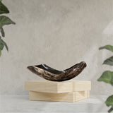 Mamba Curved Horn Decorative Bowl