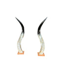 Ankole Cow Horn Mugabe Horns - Set of 2