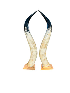 Ankole Cow Horn Mugabe Horns - Set of 2