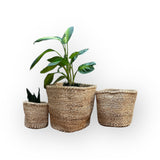 Kiondo Floor Sisal Storage Basket | Melange Tan